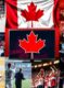 Best IPTV Sports Channels Canada